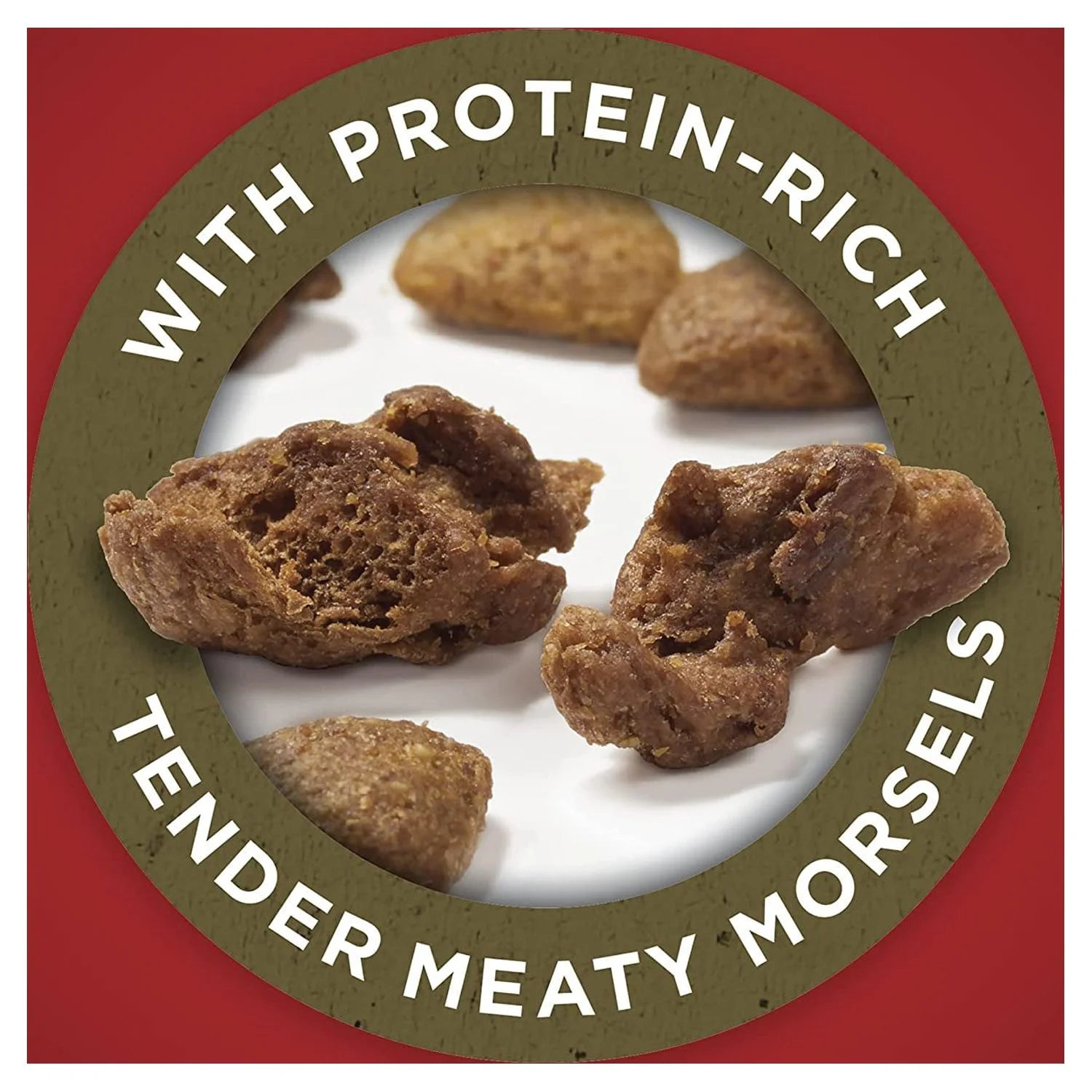 Adult Lamb & Rice Dry Dog Food R5120