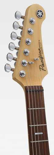 Electric Guitar with Gig Bag, Ash Pink Q94066