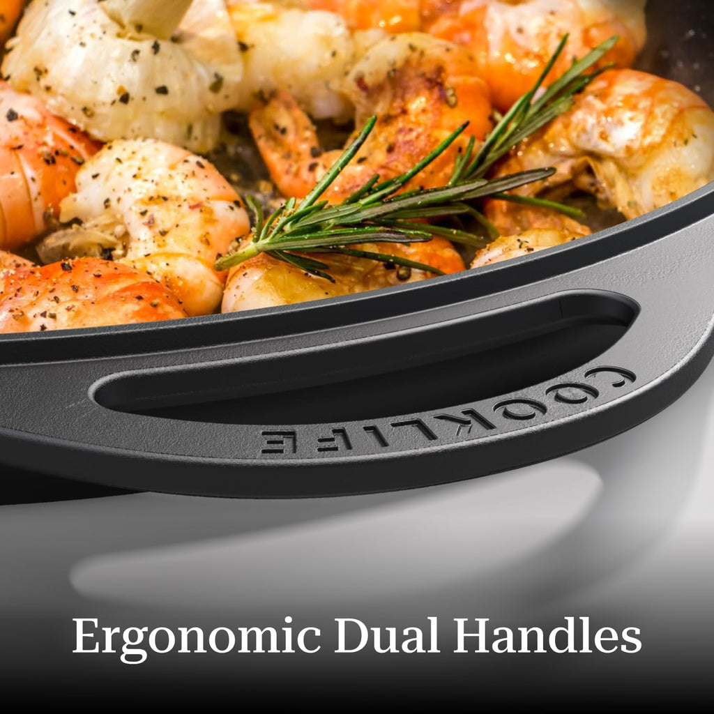 Cast Iron Griddle Pan with Scraper, Round Stove Top Pizza Pan X274