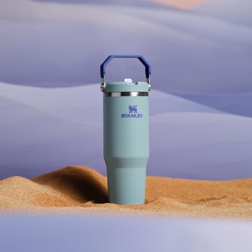 Stainless Steel Tumbler with Straw, Vacuum Insulated Water Bottle T393