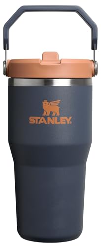 Stainless Steel Tumbler with Straw, Vacuum Insulated Water Bottle T393