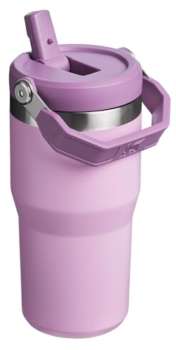 Stainless Steel Tumbler with Straw, Vacuum Insulated Water Bottle T393