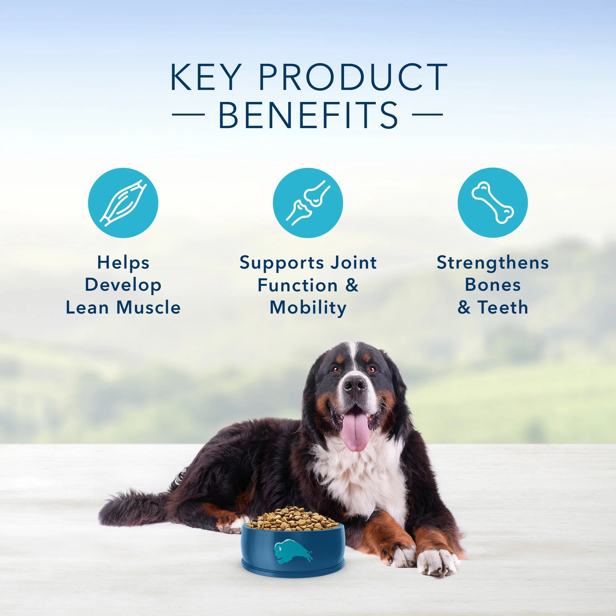 Large Breed Adult Dry Dog Food with Lamb and Brown Rice W439797