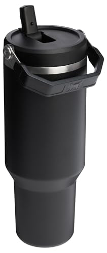 Stainless Steel Tumbler with Straw, Vacuum Insulated Water Bottle T393