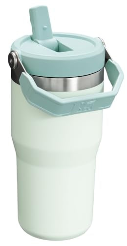 Stainless Steel Tumbler with Straw, Vacuum Insulated Water Bottle T393