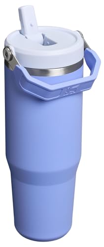 Stainless Steel Tumbler with Straw, Vacuum Insulated Water Bottle T393
