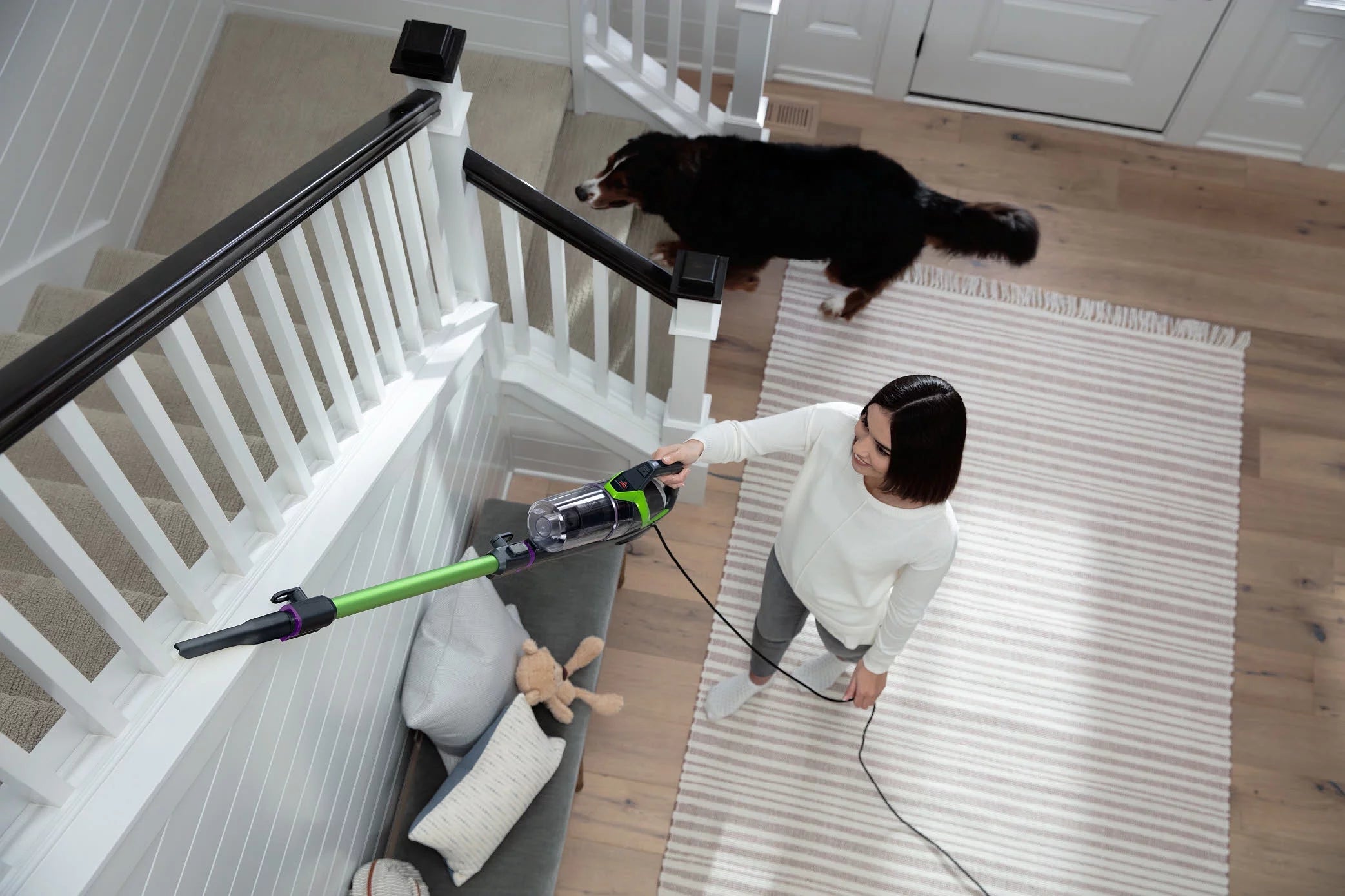 Corded Pet Hair Vacuum Cleaner Z731413