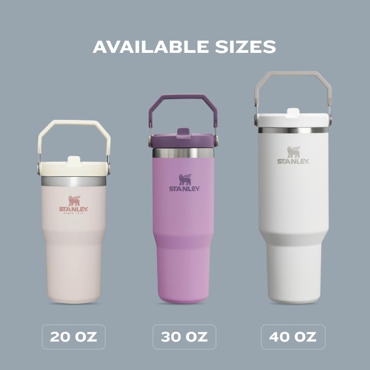 Stainless Steel Tumbler with Straw, Vacuum Insulated Water Bottle T393