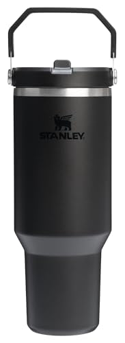 Stainless Steel Tumbler with Straw, Vacuum Insulated Water Bottle T393