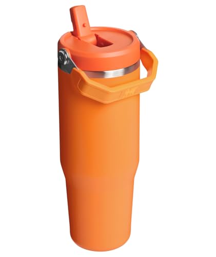 Stainless Steel Tumbler with Straw, Vacuum Insulated Water Bottle T393