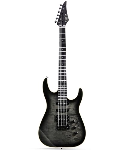 Solid Body Electric Guitar Kit with 24 Frets, HSS Pickup, Black R4019