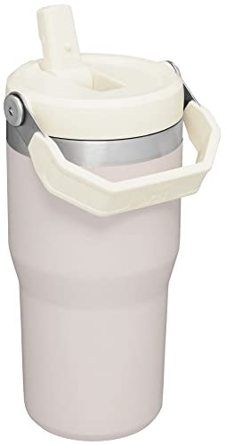 Stainless Steel Tumbler with Straw, Vacuum Insulated Water Bottle T393