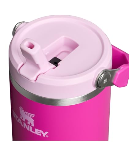 Stainless Steel Tumbler with Straw, Vacuum Insulated Water Bottle T393