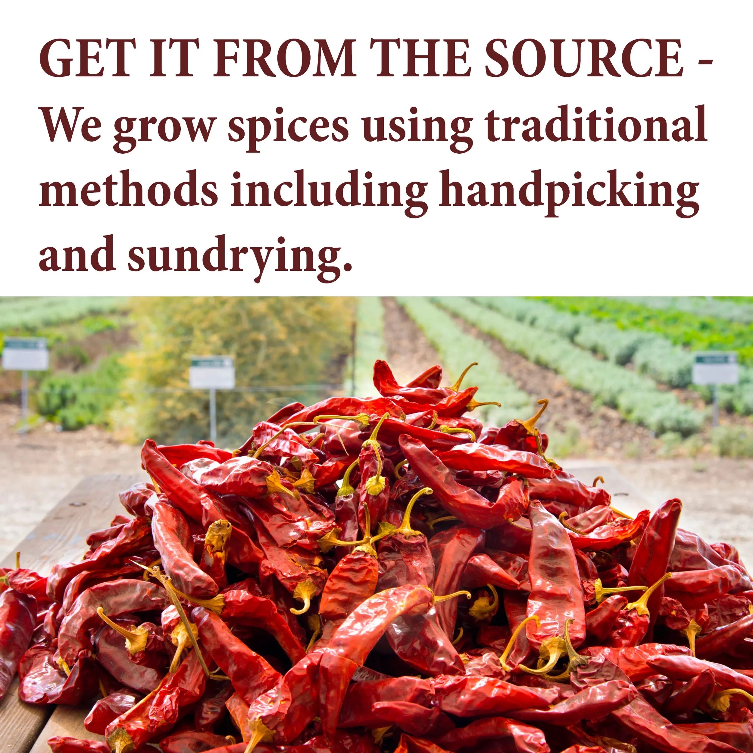 Star Anise Whole Spice, Resealable Pouch, 24 oz U279842