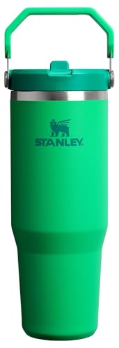 Stainless Steel Tumbler with Straw, Vacuum Insulated Water Bottle T393