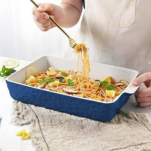 Ceramic Baking Dish with Handles, 9x13 Oven Casserole Pan Q16283