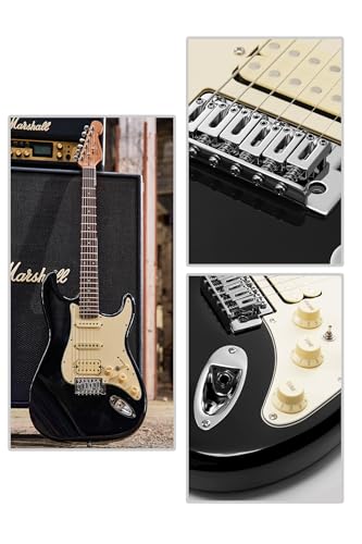 Electric Guitar with Coil-Split, Roasted Maple Neck, HSS Pickups, Beginner Kit with Amp and Bag C21096