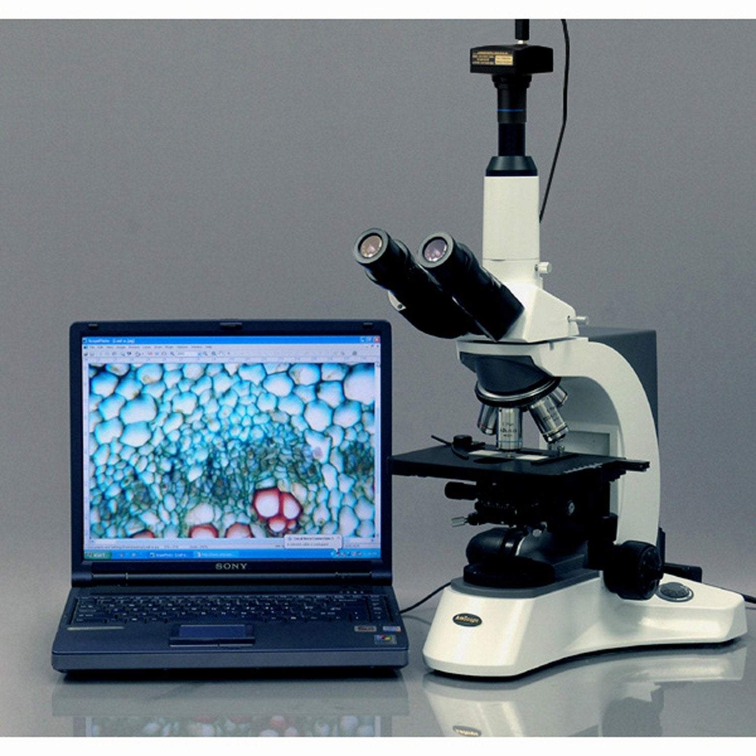 18MP USB3.0 Microscope Digital Camera V1332