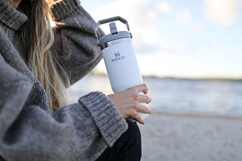Stainless Steel Tumbler with Straw, Vacuum Insulated Water Bottle T393