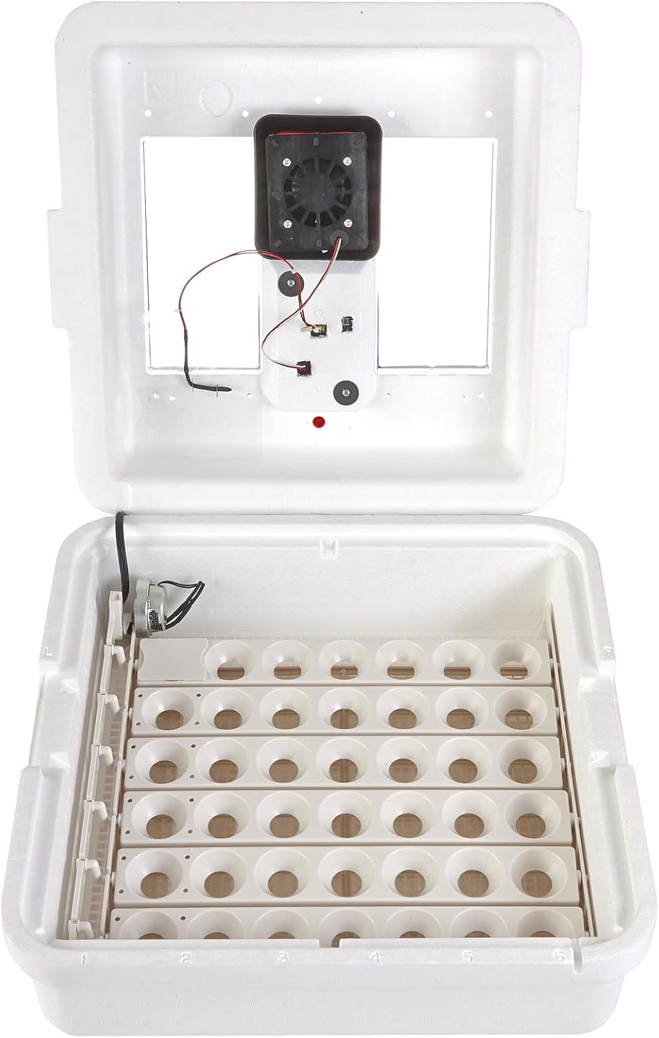 Digital Still Air Incubator for 41 Eggs with Temperature and Humidity Control O444889