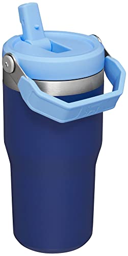 Stainless Steel Tumbler with Straw, Vacuum Insulated Water Bottle T393