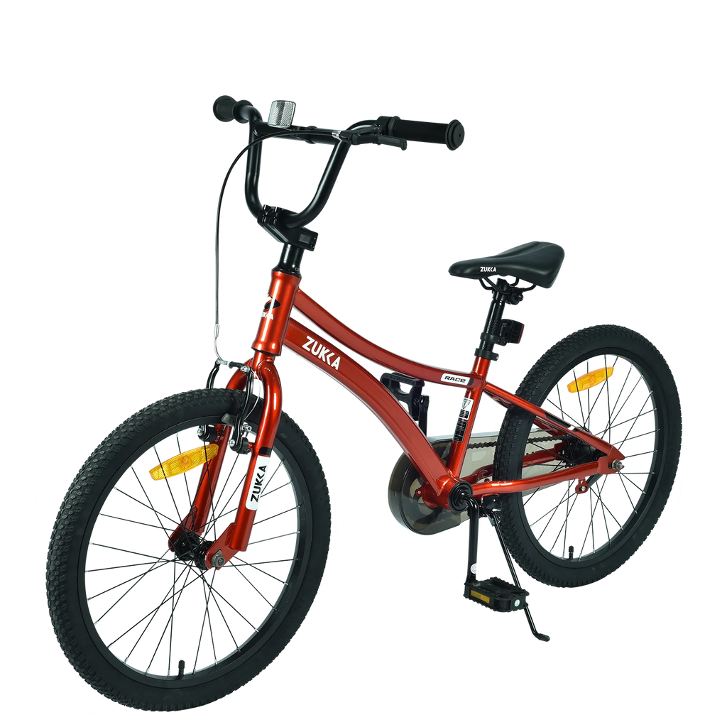 20 Inch Boys Bike for Kids Ages 7-10, Single Speed, Steel Frame, Red E439
