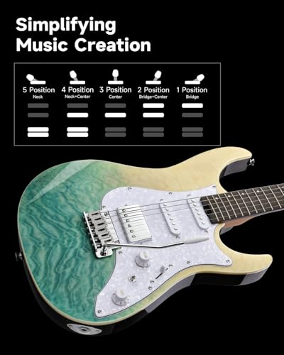 Electric Guitar with Poplar Body, Laurel Fretboard, Tremolo Bridge V5893