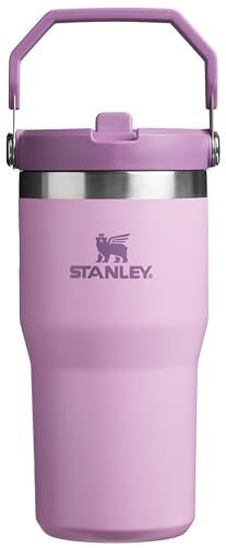 Stainless Steel Tumbler with Straw, Vacuum Insulated Water Bottle T393