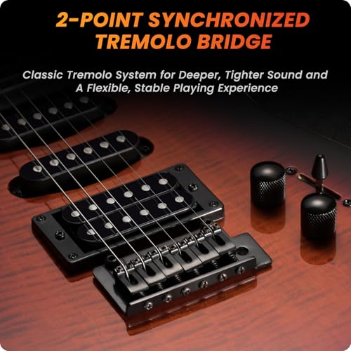 Solid Body Electric Guitar Kit with 24 Frets, HSS Pickup, Black R4019