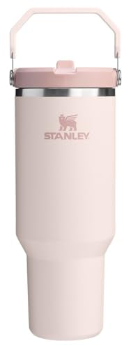 Stainless Steel Tumbler with Straw, Vacuum Insulated Water Bottle T393
