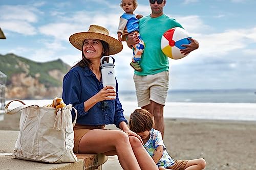 Stainless Steel Tumbler with Straw, Vacuum Insulated Water Bottle T393