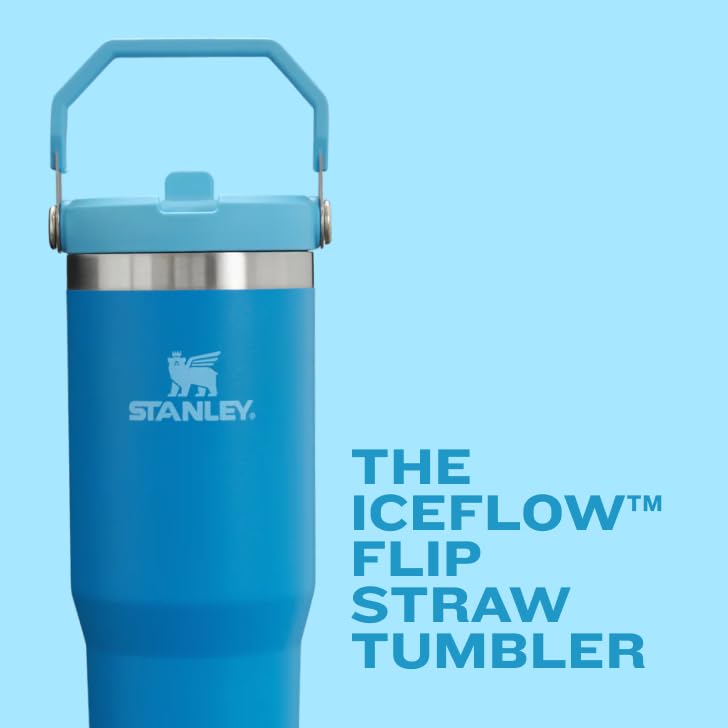 Stainless Steel Tumbler with Straw, Vacuum Insulated Water Bottle T393