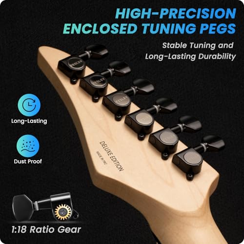 Solid Body Electric Guitar Kit with 24 Frets, HSS Pickup, Black R4019
