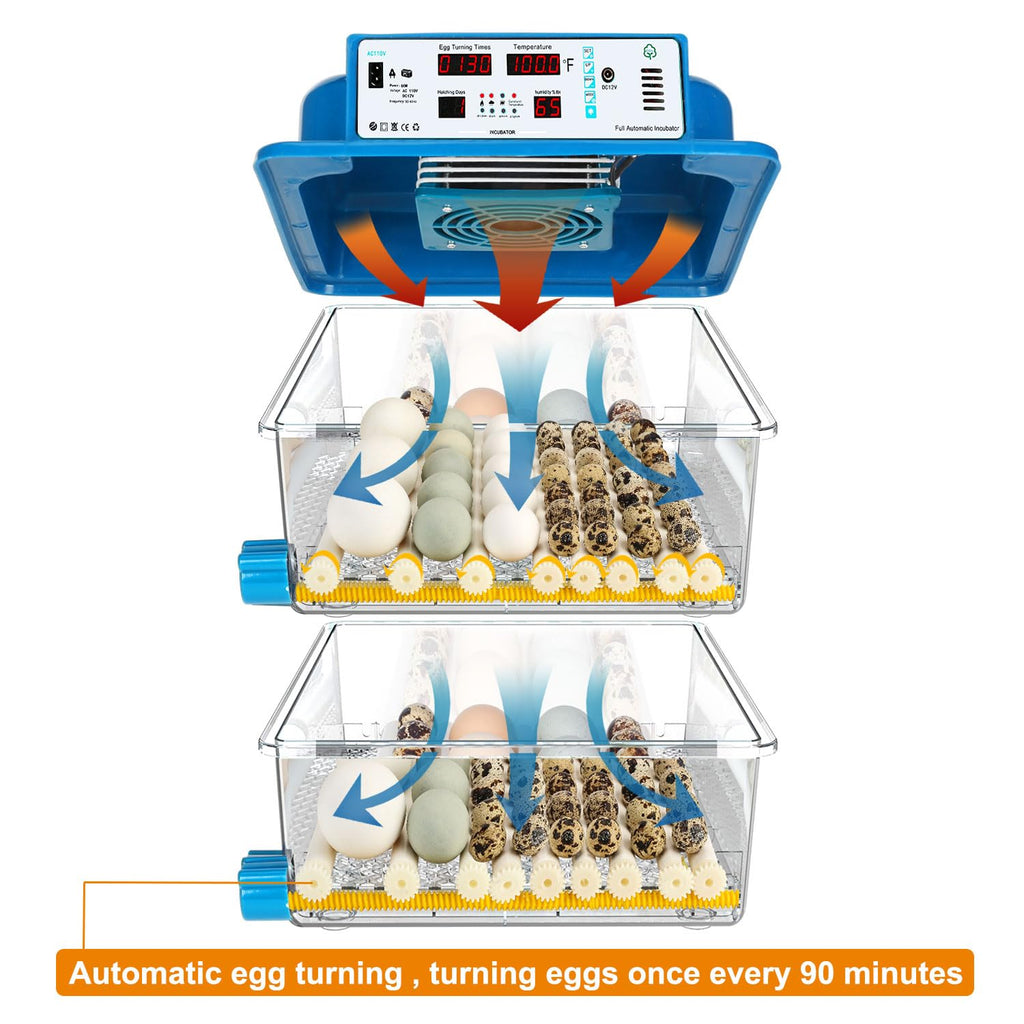 Automatic Temperature Control Egg Incubator for Hatching Chicken Quail Eggs L59461