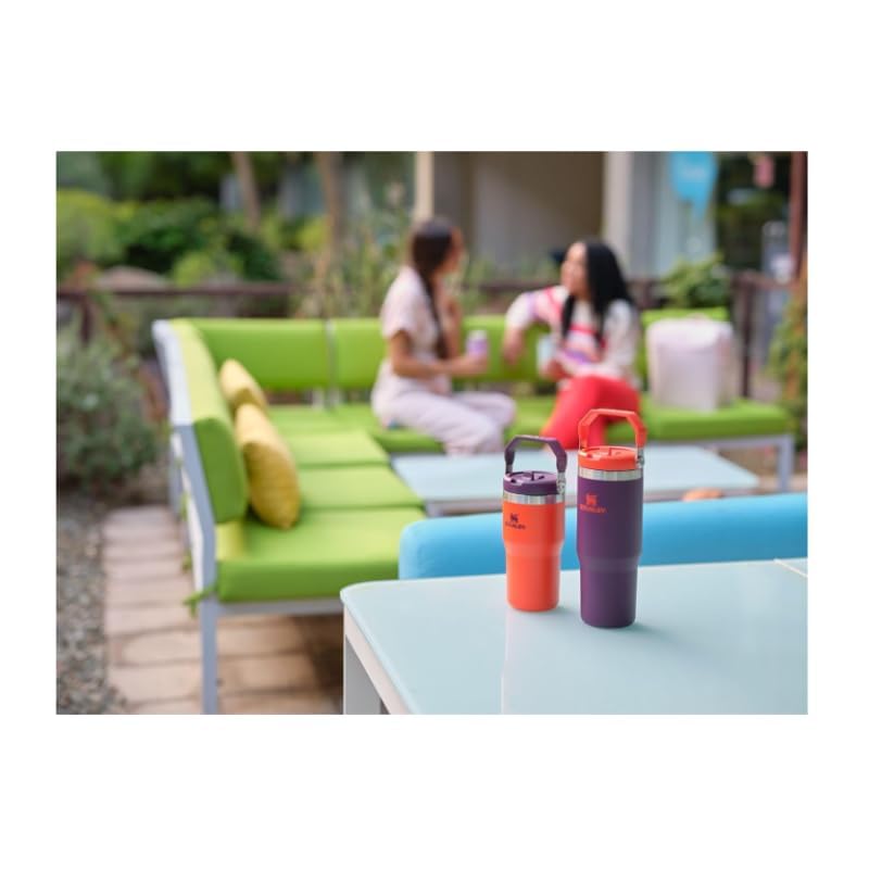 Stainless Steel Tumbler with Straw, Vacuum Insulated Water Bottle T393
