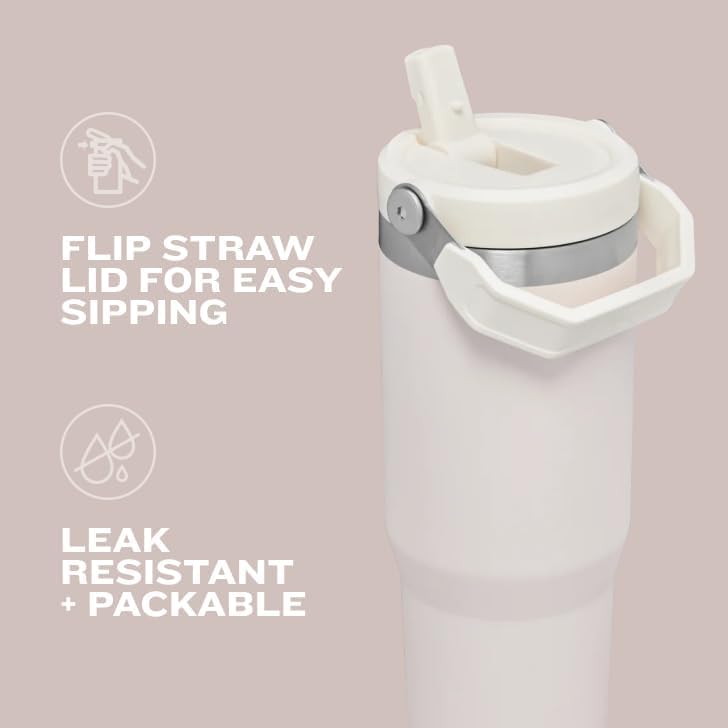 Stainless Steel Tumbler with Straw, Vacuum Insulated Water Bottle T393