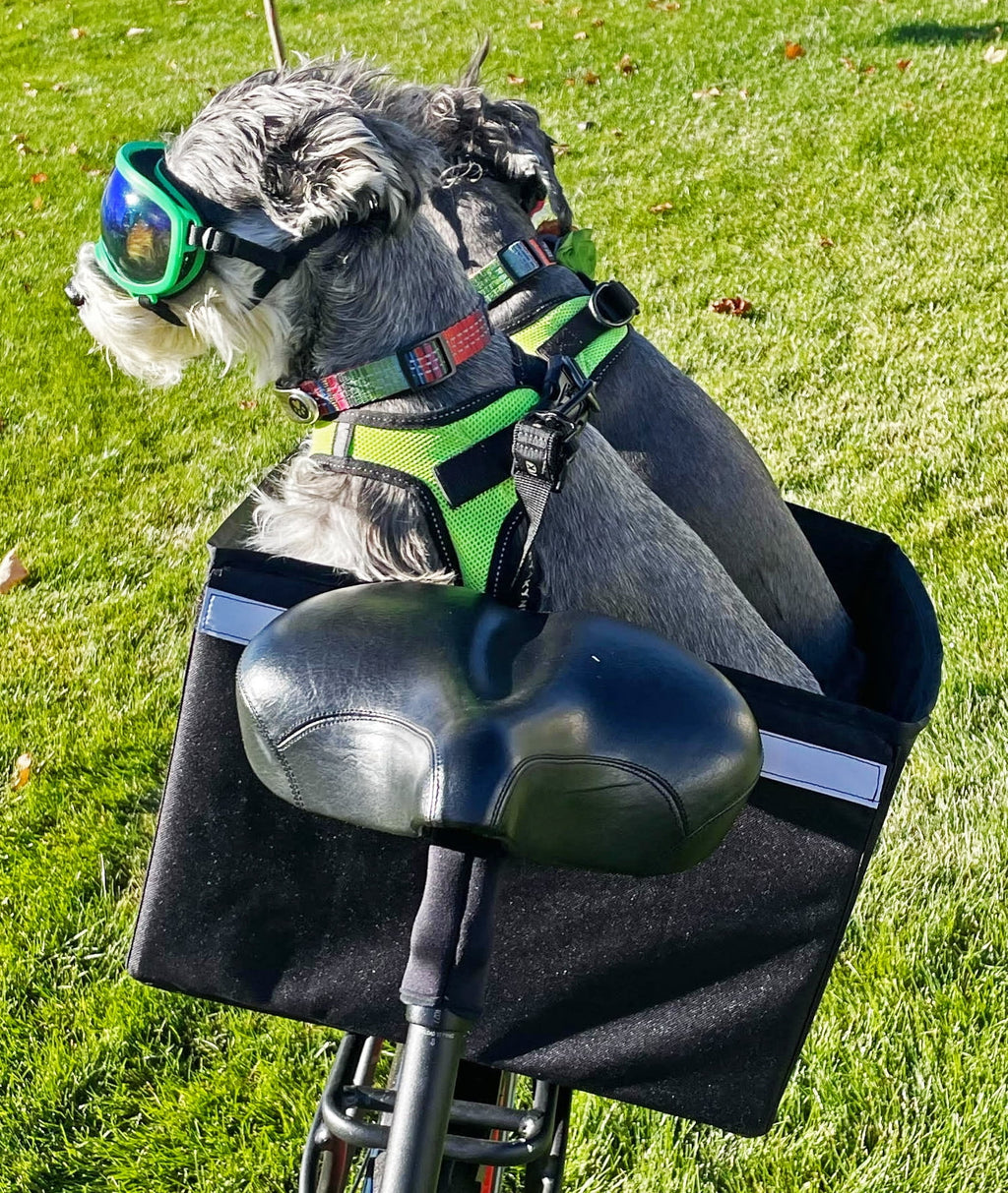 Bike Rack Dog and Grocery Carrier Bicycle Pannier Crate W645769