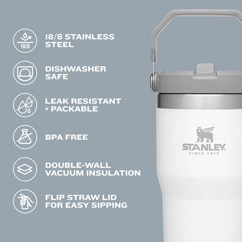 Stainless Steel Tumbler with Straw, Vacuum Insulated Water Bottle T393