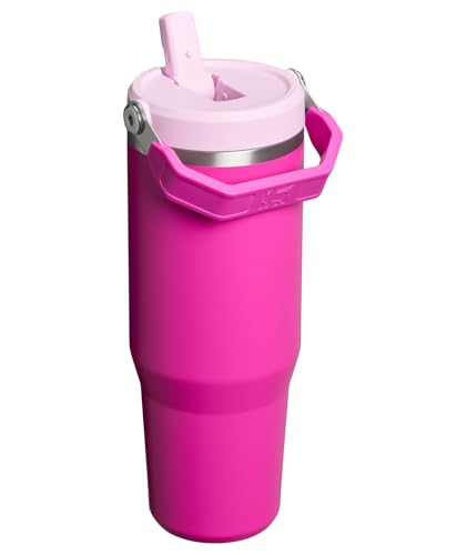 Stainless Steel Tumbler with Straw, Vacuum Insulated Water Bottle T393