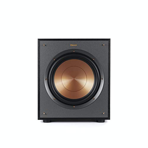 10" Subwoofer with Deep Bass and Digital Amplifier Z195