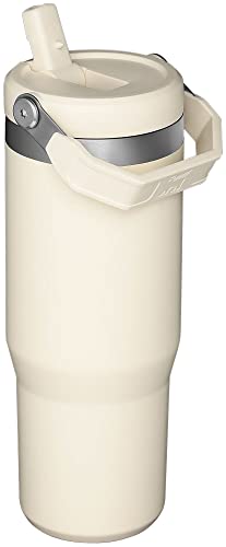 Stainless Steel Tumbler with Straw, Vacuum Insulated Water Bottle T393