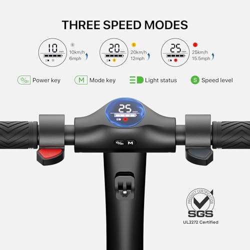 Electric Scooter for Adults, Long Range, Dual Suspension D190