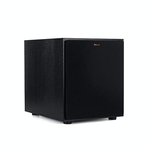 10" Subwoofer with Deep Bass and Digital Amplifier Z195