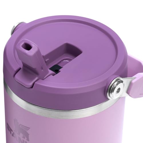Stainless Steel Tumbler with Straw, Vacuum Insulated Water Bottle T393