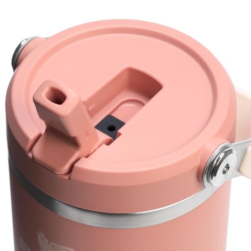 Stainless Steel Tumbler with Straw, Vacuum Insulated Water Bottle T393