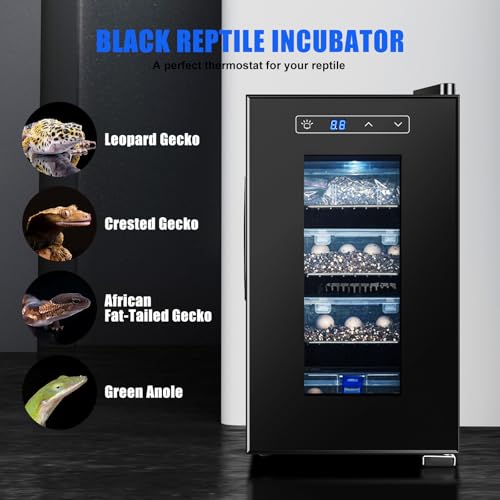Reptile Egg Incubator 23L Digital Heating and Cooling, 10–40°C, UV-Resistant Glass Door F931690