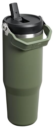 Stainless Steel Tumbler with Straw, Vacuum Insulated Water Bottle T393