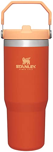 Stainless Steel Tumbler with Straw, Vacuum Insulated Water Bottle T393