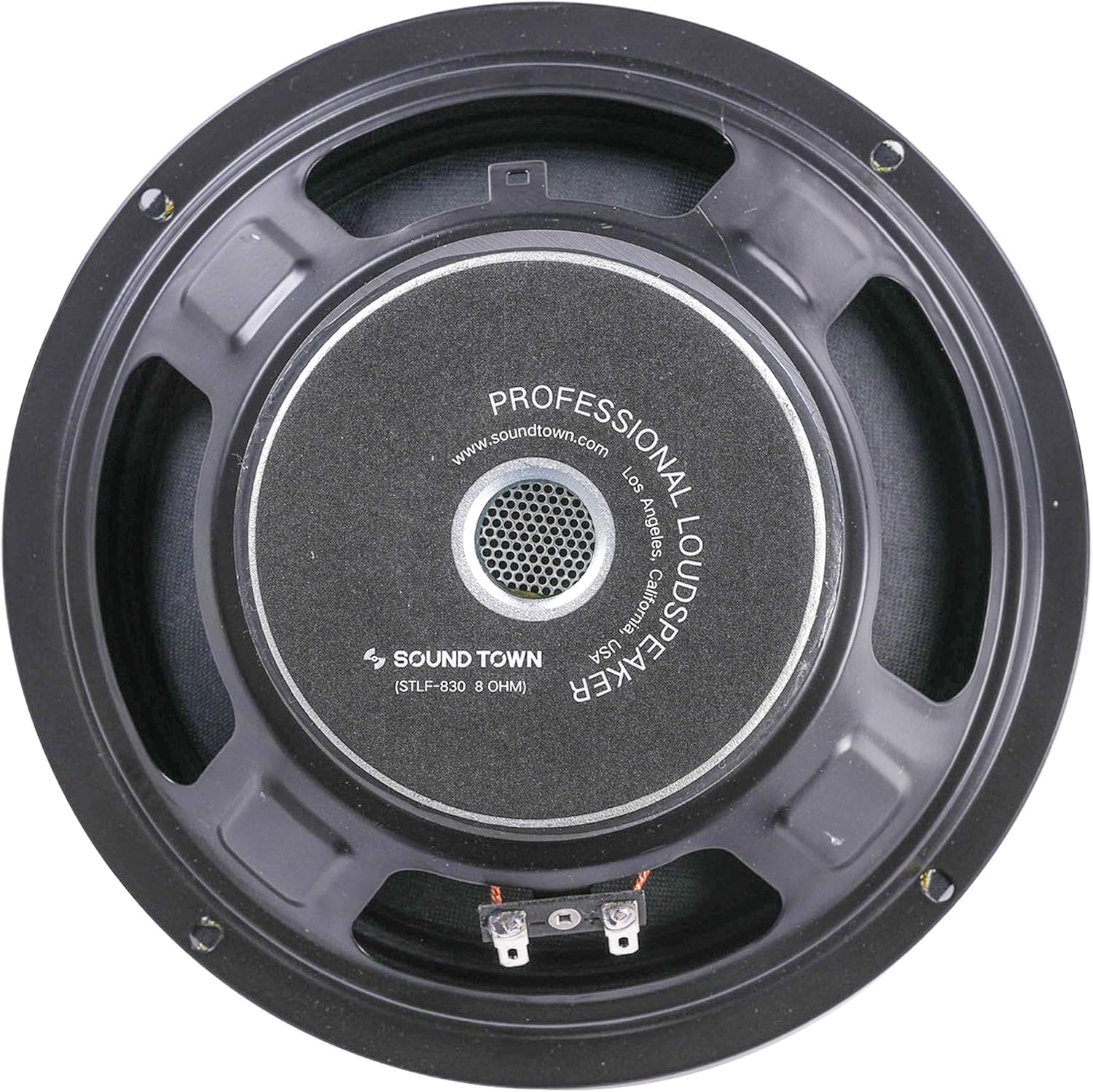 12" Raw Woofer Speaker, 300 Watts, Pro Audio PA DJ Replacement, Pack of 2 E653543