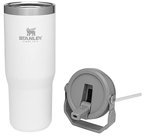 Stainless Steel Tumbler with Straw, Vacuum Insulated Water Bottle T393